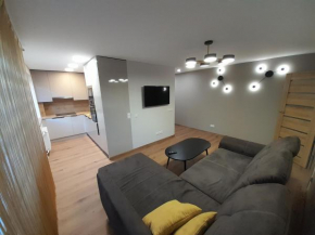Vytės apartamentai